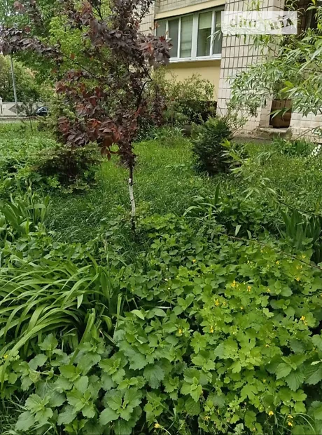Квартира на вул. Олекси Тихого, 23 в Києві, ID 214793, фото №15