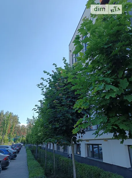 Квартира на вул. Наталії Околитенко, 93 в Києві, ID 239321, фото №27