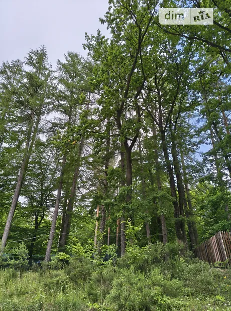 Квартира на вул. Петра Сагайдачного в Львові, ID 310494, фото №49