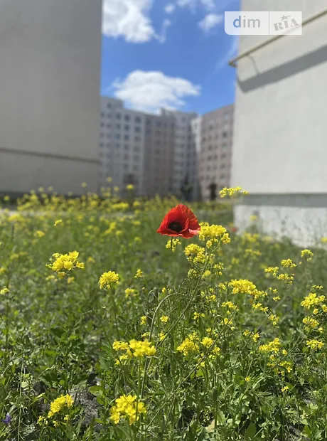 Квартира на вул. Князя Володимира Великого, 16 в Києві, ID 248200, фото №15