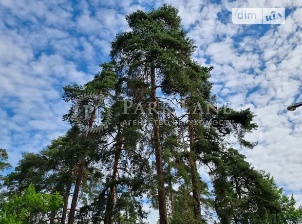 Квартира на вул. Павла Петриченка, 75 в Києві, ID 186771, фото №14