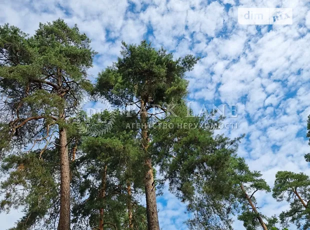 Квартира на вул. Павла Петриченка, 75 в Києві, ID 186771, фото №16
