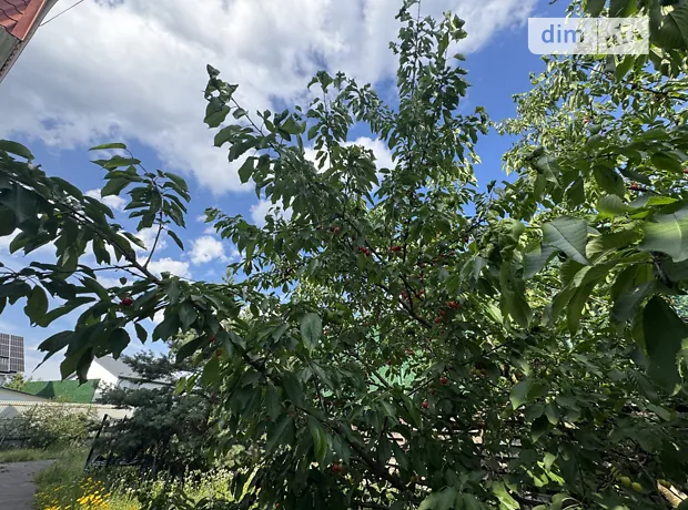 Квартира на вул. Бучанська, 7 в Києві, ID 303111, фото №4