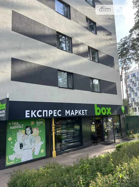 Квартира на пров. Богдана Ступки, 3 в Києві, ID 308711, фото №47