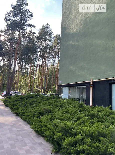 Квартира на пров. Богдана Ступки, 3 в Києві, ID 308711, фото №49