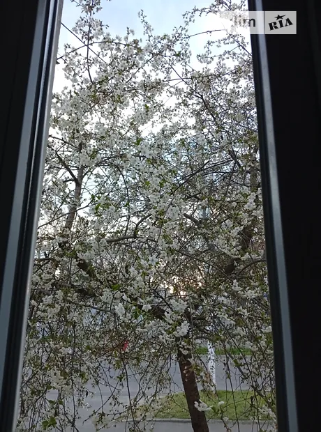 Квартира на вул. Шевченка, 11 в Одесі, ID 310578, фото №12