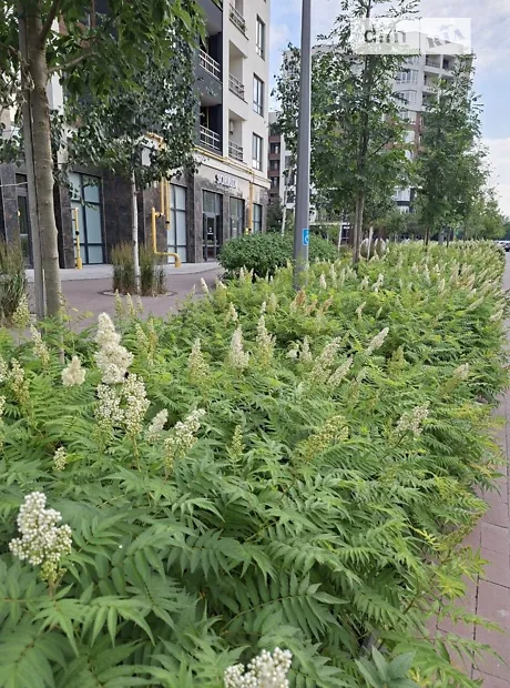 Квартира на вул. Ольги Кобилянської 1В/32 в Києві, ID 247060, фото №20