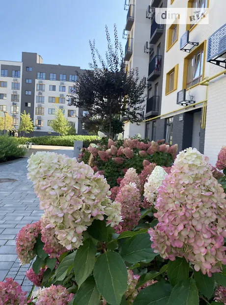 Квартира на вул. ІІІ Інтернаціоналу, 2К в Києві, ID 238293, фото №16