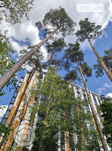 Квартира на вул. Миколи Шудрі в Києві, ID 228236, фото №8