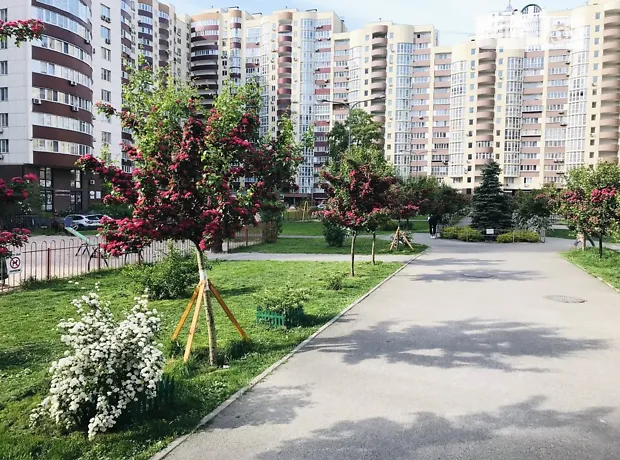 Квартира на бул. Миколи Руденка, 14Д в Києві, ID 206364, фото №14