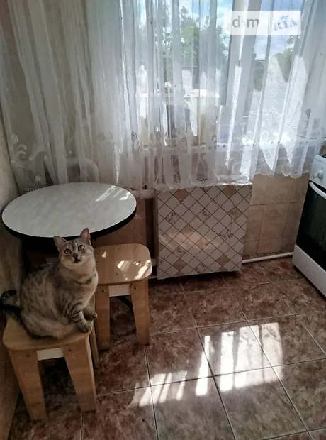 Квартира на вул. Нове Шосе, 13 в Києві, ID 269872, фото №10