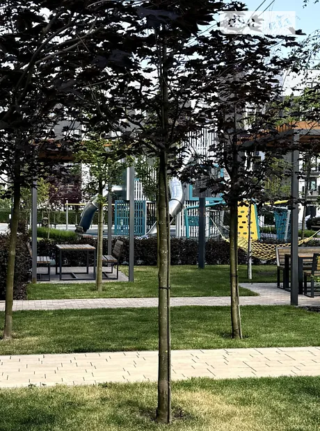 Квартира на вул. Соборна в Києві, ID 246444, фото №7