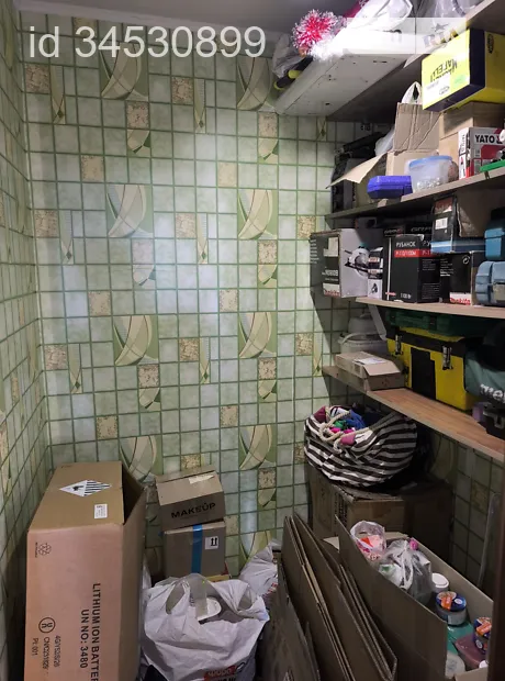 Квартира на вул. Здолбунівська, 13 в Києві, ID 180009, фото №27