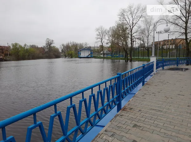 Квартира на вул. Центральна, 21 в Києві, ID 176775, фото №19