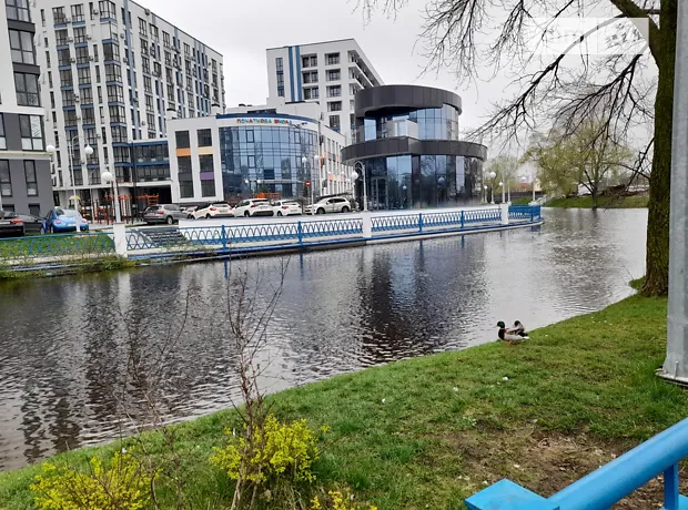 Квартира на вул. Центральна, 21 в Києві, ID 176775, фото №25