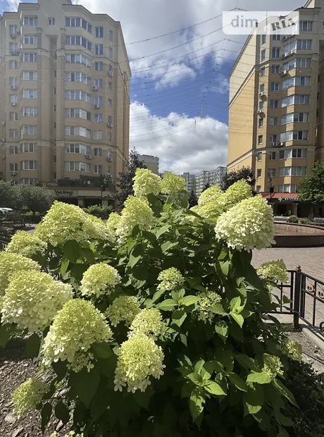 Квартира на вул. Лесі Українки, 26 в Києві, ID 242960, фото №2