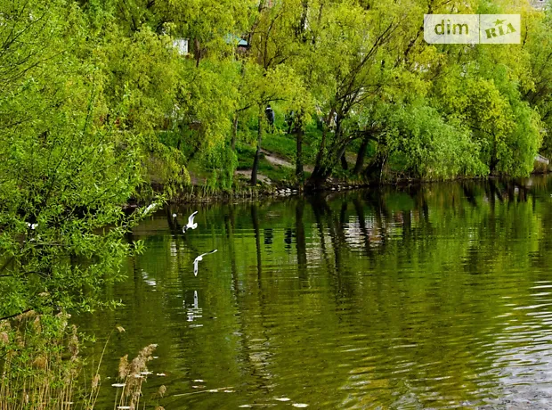 Квартира на вул. Бориса Гмирі, 17 в Києві, ID 201006, фото №27