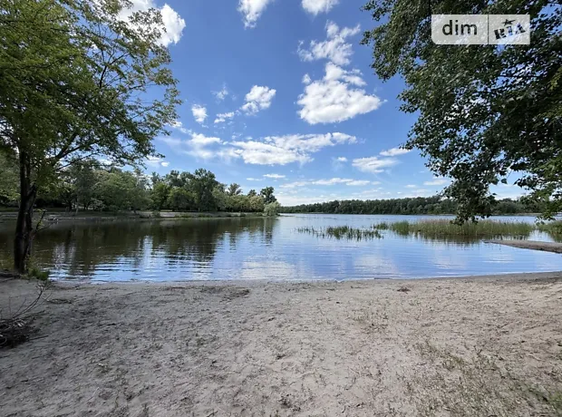 Квартира на вул. Раїси Окіпної, 18 в Києві, ID 214900, фото №11