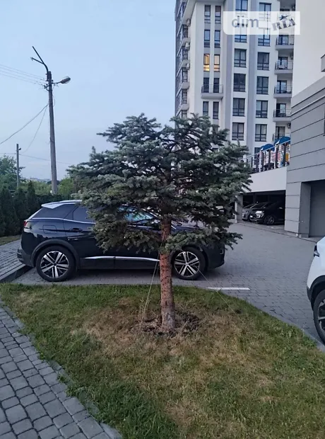 Квартира на вул. Торф'яна, 25А в Львові, ID 257035, фото №6