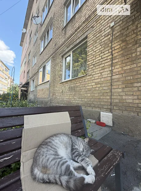 Квартира на вул. Шкільна в Київ, ID 235278, фото №4