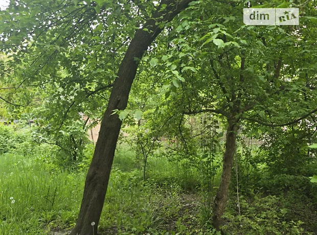 Квартира на вул. Голубця Миколи, 16 в Львові, ID 257268, фото №18