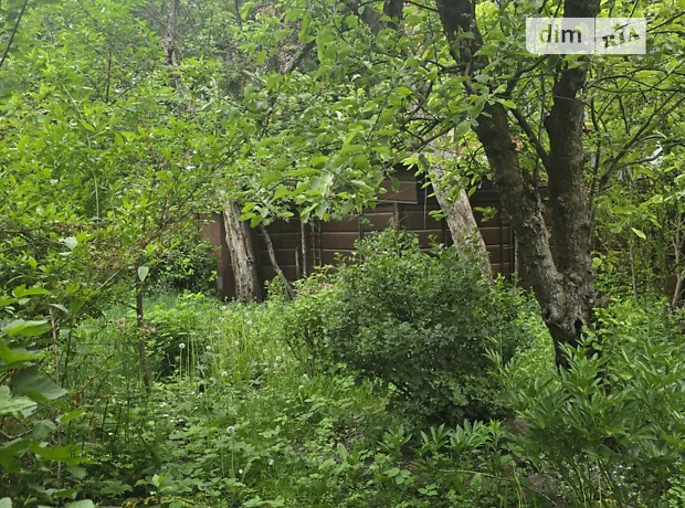 Квартира на вул. Голубця Миколи, 16 в Львові, ID 257268, фото №19