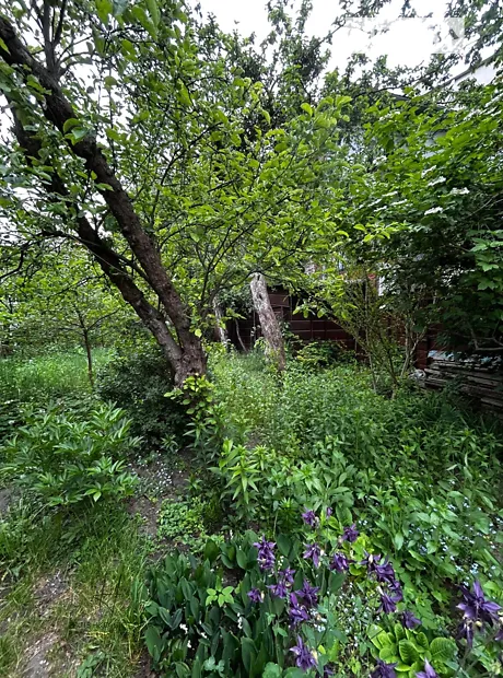 Квартира на вул. Голубця Миколи, 16 в Львові, ID 257268, фото №30