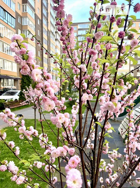 Квартира на вул. Зарічанська, 11Б в Хмельницькому, ID 366798, фото №25
