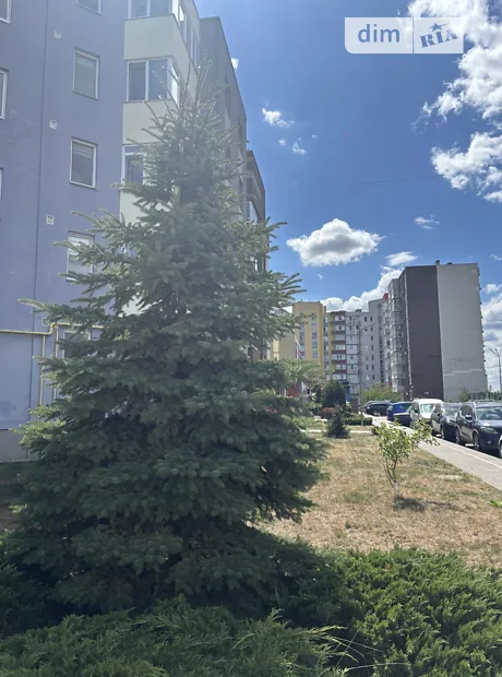 Квартира на вул. Бориса Гмирі, 11А в Києві, ID 278755, фото №44