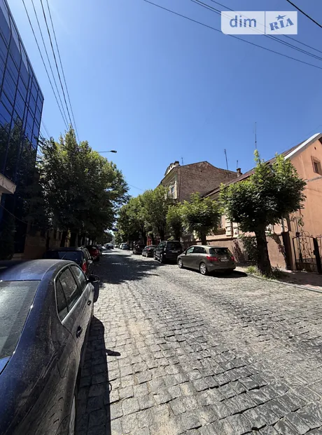 Квартира на вул. Хмельницького Богдана, 52 в Чернівцях, ID 263462, фото №12