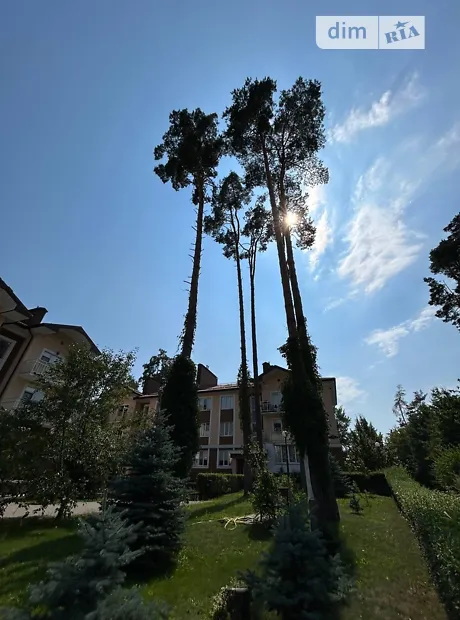 Квартира на вул. Шота Руставелі, 2 в Києві, ID 265881, фото №15
