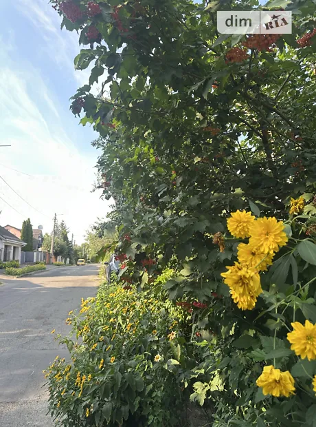 Квартира на вул. Олександра Бринжали, 1 в Києві, ID 283873, фото №12
