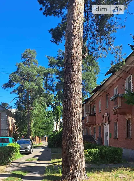 Квартира на пров. Надії Світличної 14/115 в Києві, ID 279463, фото №12