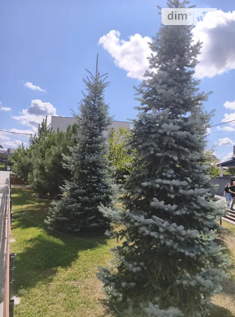 Квартира на вул. Богдана Хмельницького, 25 в Київ, ID 313243, фото №4