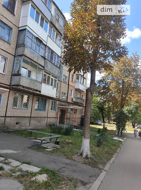 Квартира на вул. Покровська, 11 в Кривому Розі, ID 287116, фото №12