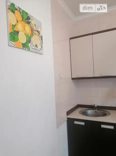 Квартира на вул. Бориса Гмирі, 8Б в Києві, ID 289593, фото №27