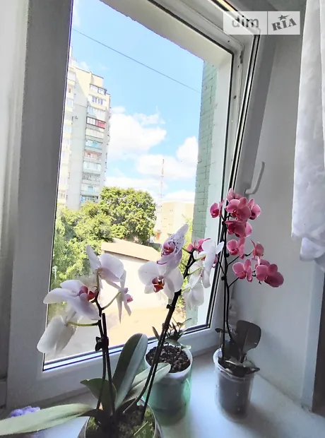 Квартира на вул. Реміснича, 31 в Чернігів, ID 297576, фото №5