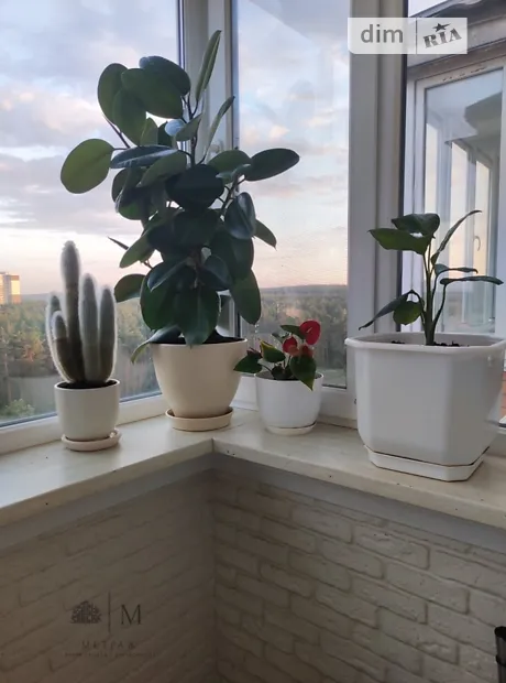 Квартира на вул. Соборна в Києві, ID 299212, фото №10