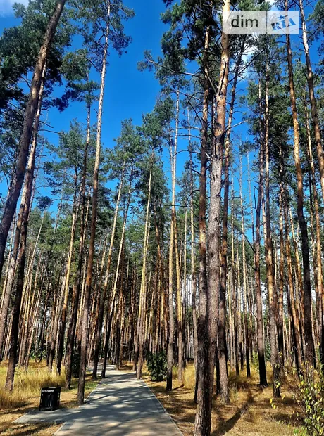 Квартира на вул. Соборна, 2 в Києві, ID 313315, фото №23