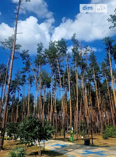Квартира на вул. Соборна, 1 в Києві, ID 313391, фото №13