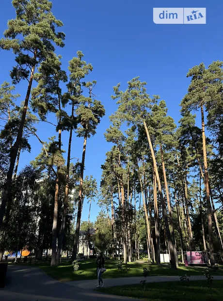 Квартира на вул. Університетська, 3/9 в Києві, ID 326187, фото №10