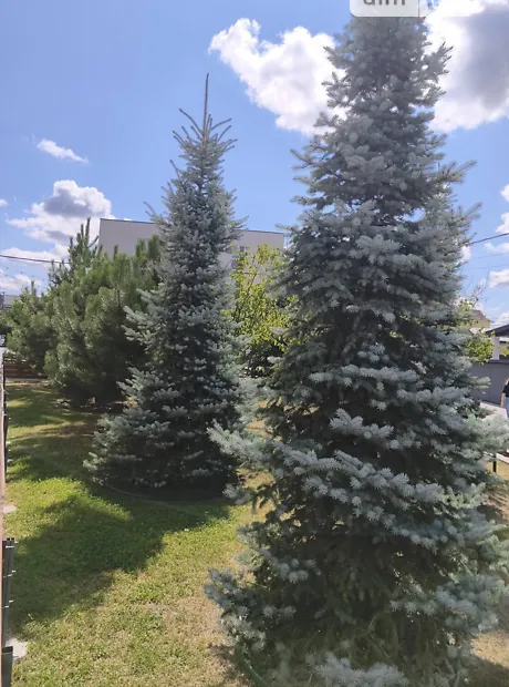 Квартира на вул. Богдана Хмельницького, 25 в Київ, ID 328023, фото №4