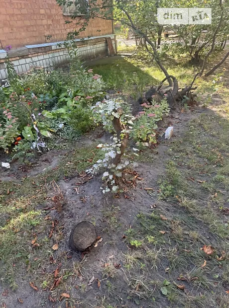 Квартира на вул. Саратовська, 49 в Києві, ID 329349, фото №6