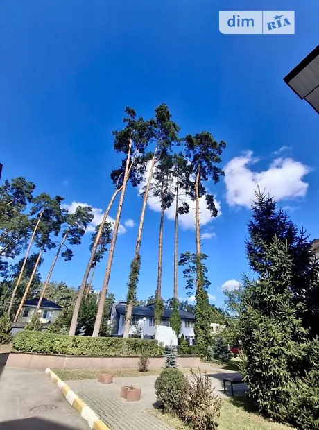 Квартира на вул. Шота Руставелі в Києві, ID 329602, фото №9