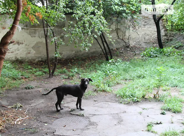 Квартира на вул. Бандери Степана, 39 в Львові, ID 340491, фото №17