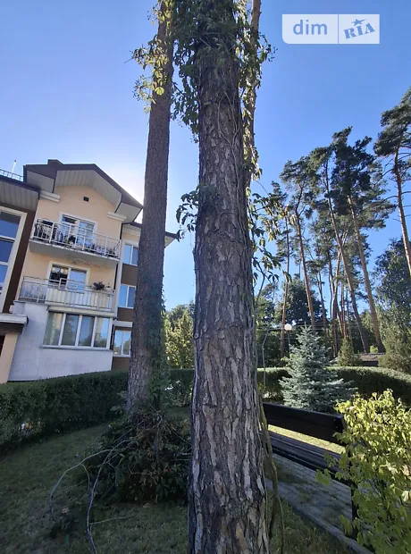 Квартира на вул. Шота Руставелі в Київ, ID 337974, фото №3