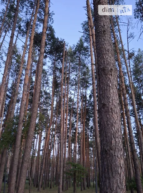 Квартира на вул. Шота Руставелі в Києві, ID 337974, фото №22