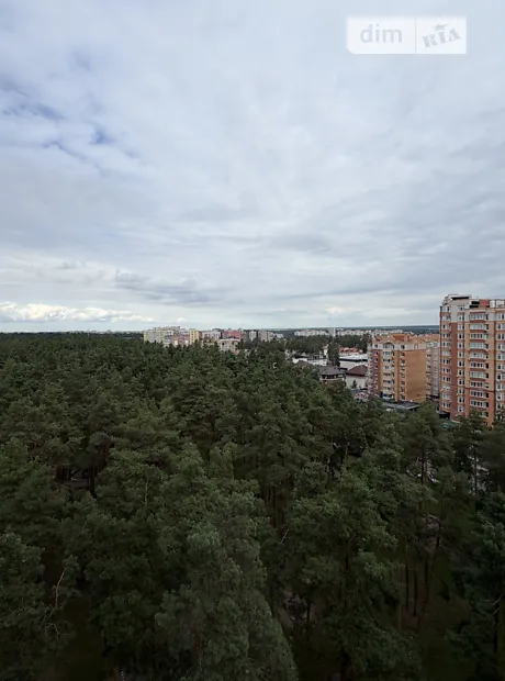 Квартира на вул. Університетська, 3/6 в Києві, ID 338678, фото №15