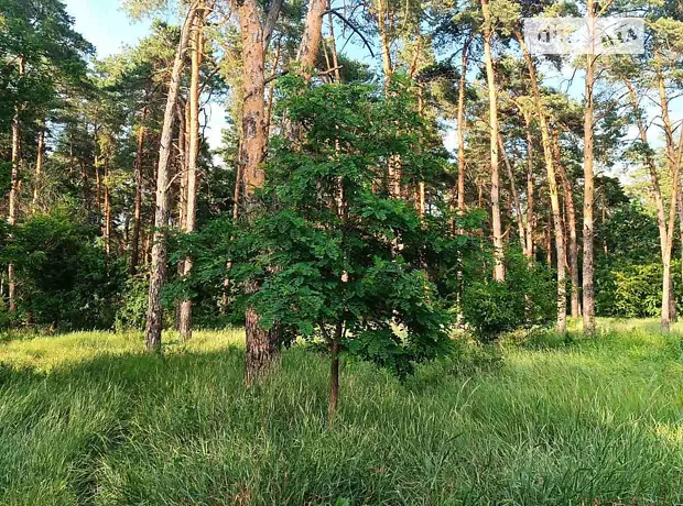 Квартира на вул. Вакуленчука, 47 в Києві, ID 339926, фото №15