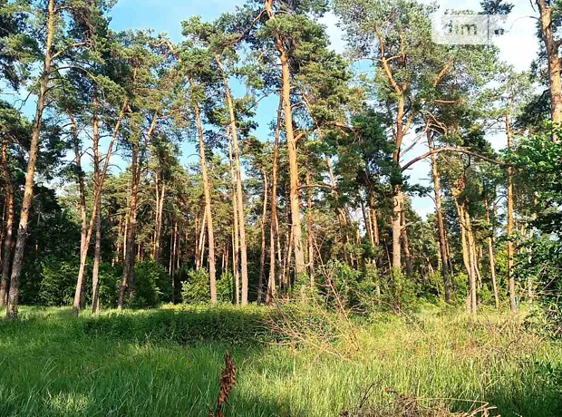 Квартира на вул. Вакуленчука, 47 в Києві, ID 339926, фото №10